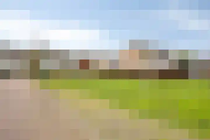Klaver 28 Cuijk thumbnail 36