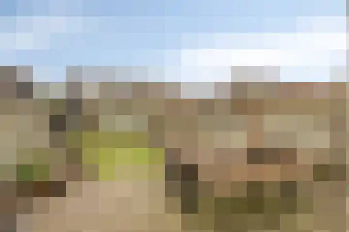 Klaver 28 Cuijk thumbnail 4