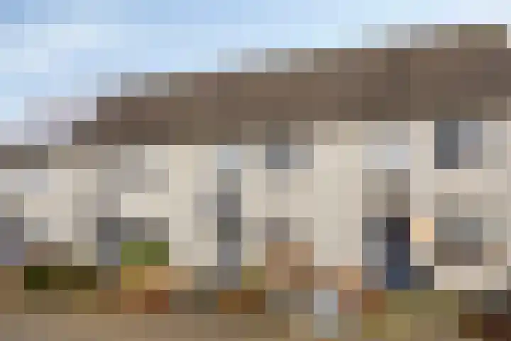 Klaver 28 Cuijk thumbnail 5