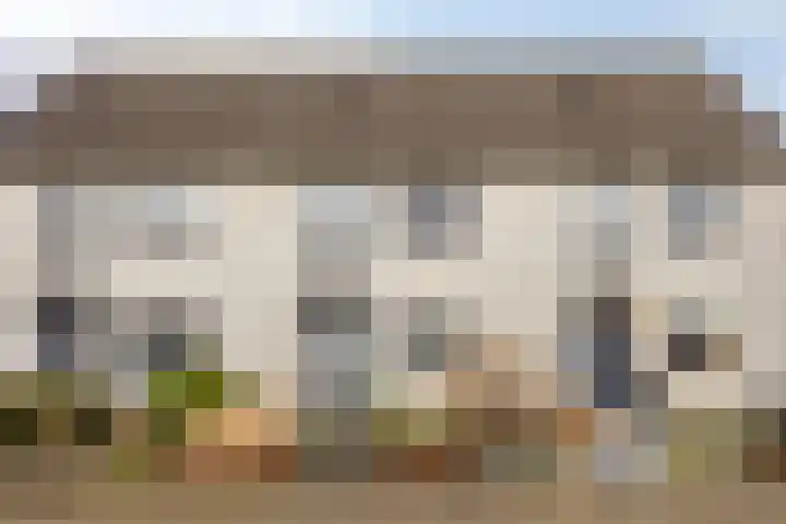 Klaver 28 Cuijk thumbnail 6