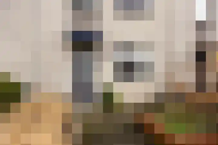 Klaver 28 Cuijk thumbnail 7