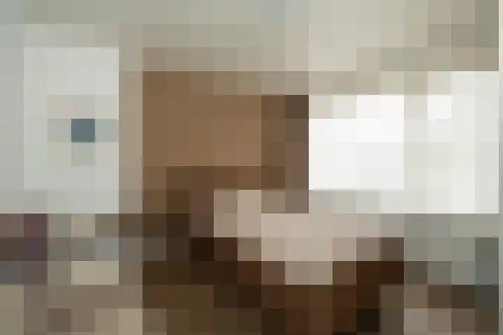 Klaverkamp 79 Epe thumbnail 11