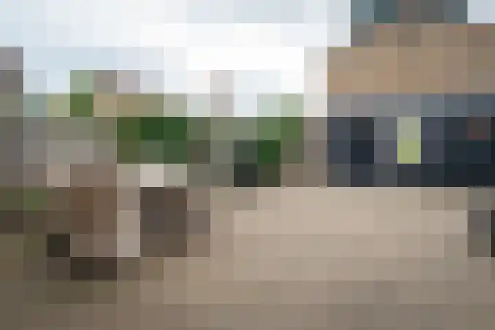 Klaverkamp 79 Epe thumbnail 17