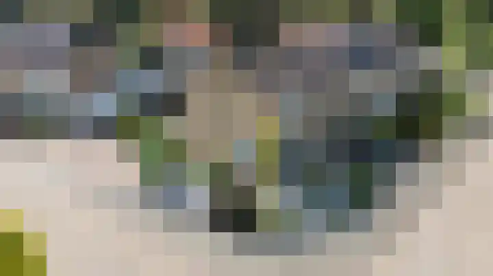 Klaverkamp 79 Epe thumbnail 21