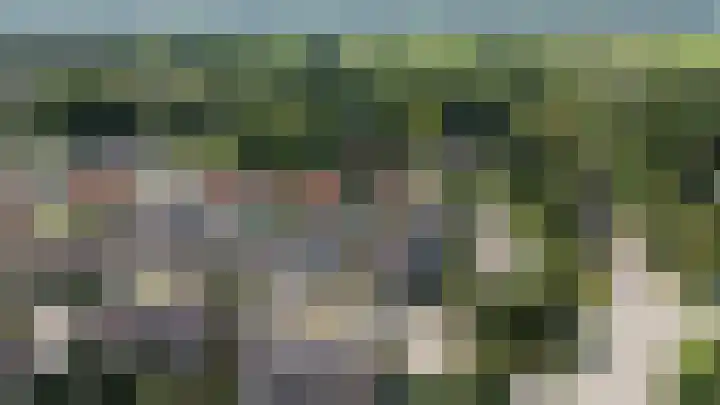 Klaverkamp 79 Epe thumbnail 22