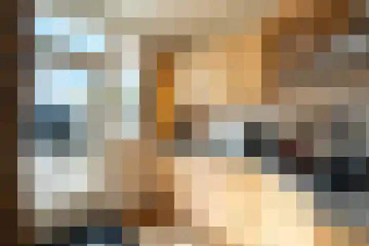 Klaverkamp 79 Epe thumbnail 8