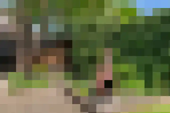 Klaverkamp 92 Epe thumbnail 25