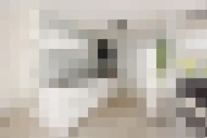 Klaverpas 27 Druten thumbnail 14