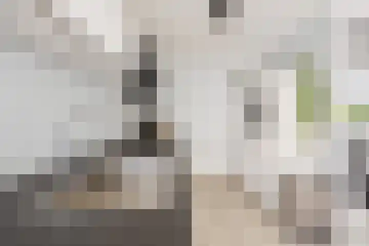 Klaverpas 27 Druten thumbnail 15