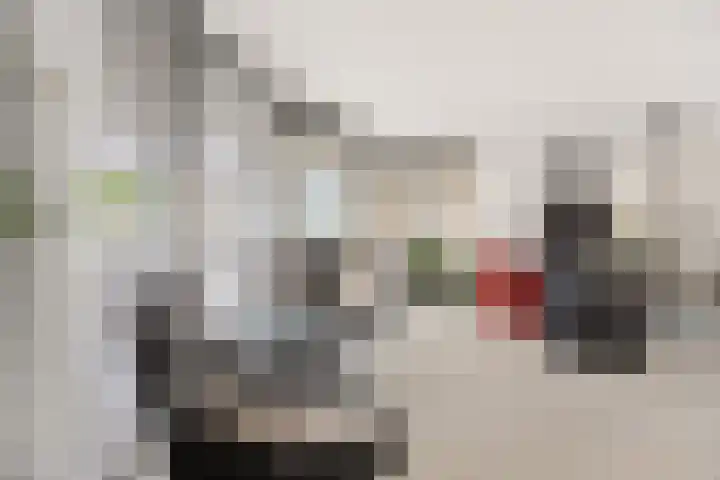 Klaverpas 27 Druten thumbnail 17