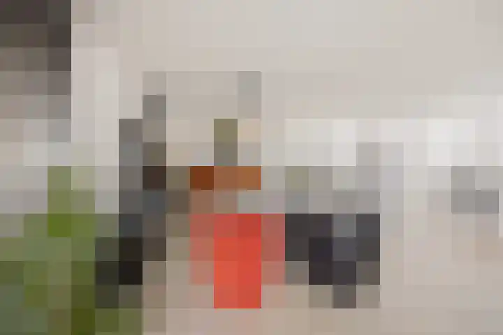 Klaverpas 27 Druten thumbnail 19