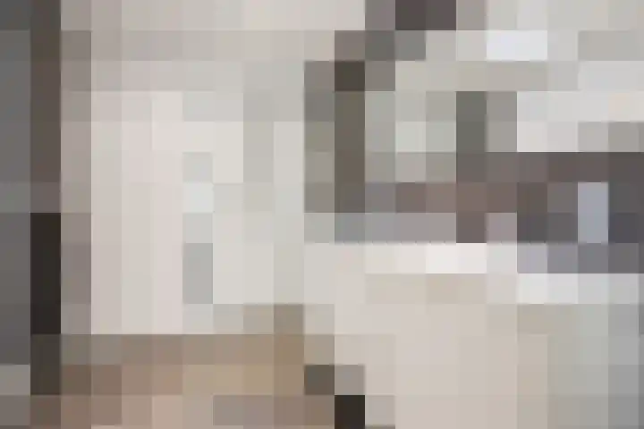Klaverpas 27 Druten thumbnail 29