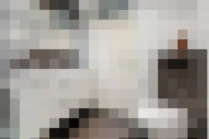 Klaverpas 27 Druten thumbnail 30