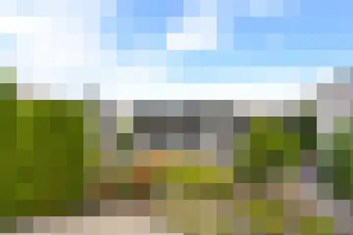 Klaverpas 27 Druten thumbnail 4
