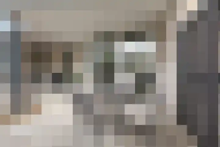 Klaverpas 27 Druten thumbnail 40