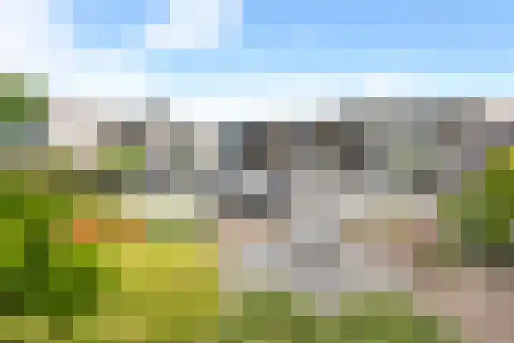 Klaverpas 27 Druten thumbnail 41
