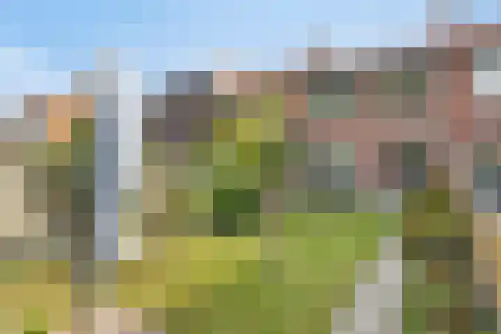 Klaverstraat 17 Moerdijk thumbnail 6