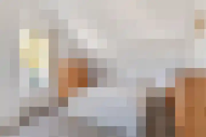 Klaverveld 25 Assen thumbnail 19