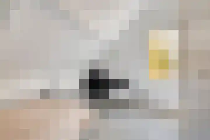 Klaverveld 25 Assen thumbnail 25
