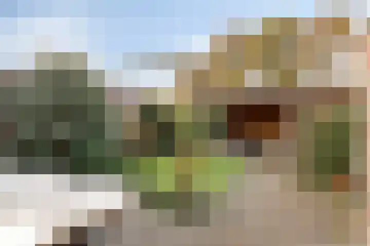Klaverveld 25 Assen thumbnail 32