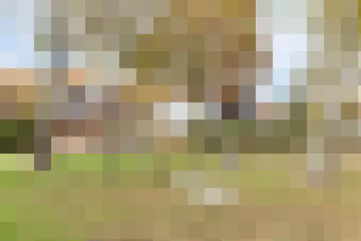 Klaverveld 25 Assen thumbnail 42