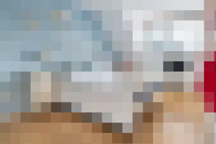 Klaverwei 4 Schijndel thumbnail 18