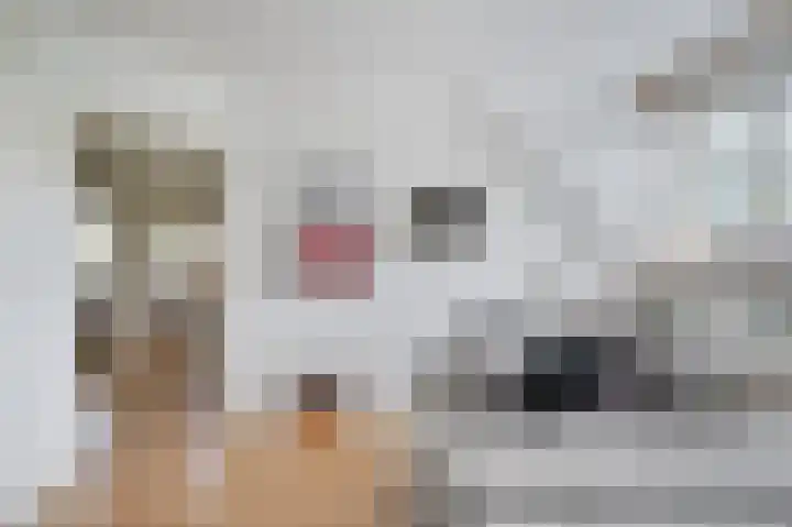 Klaverwei 4 Schijndel thumbnail 21