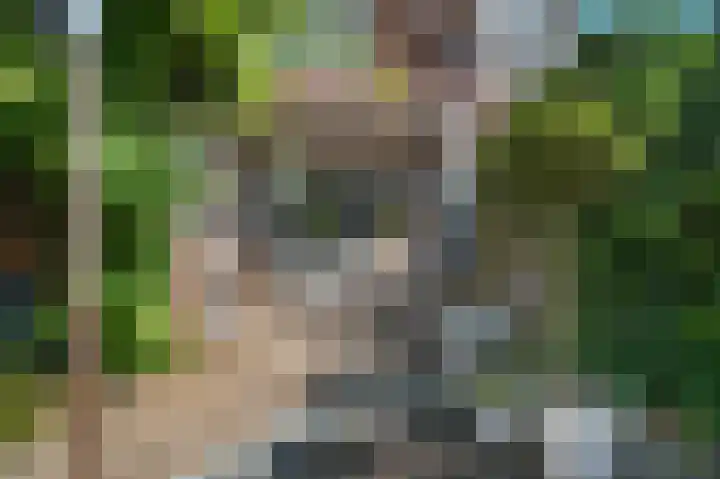 Klaverwei 4 Schijndel thumbnail 34