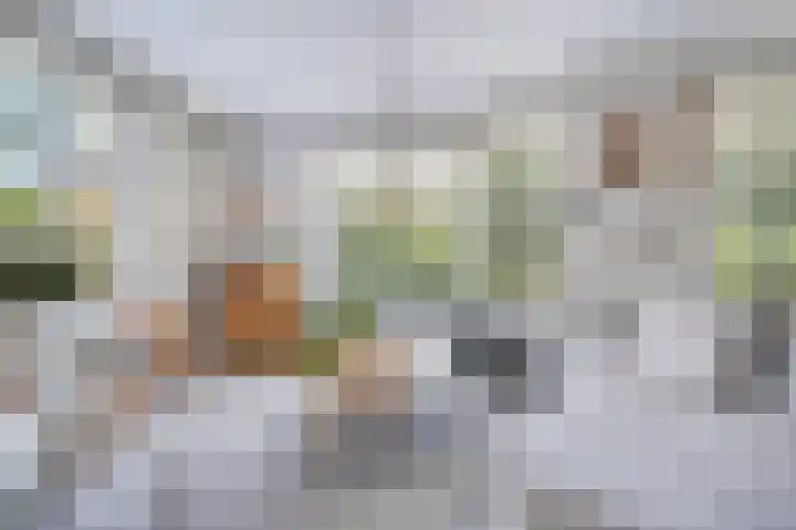 Klaverwei 4 Schijndel thumbnail 8