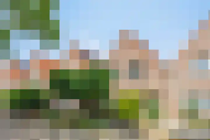 Klaverweide 5 Oss