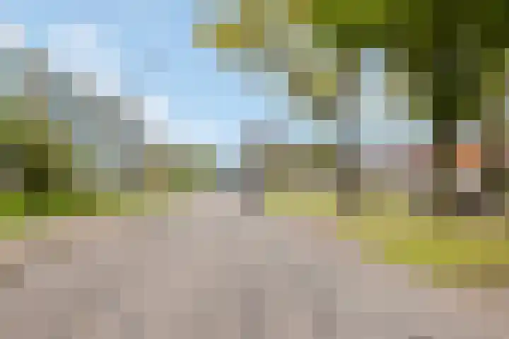 Klaverweide 59 Breda thumbnail 7