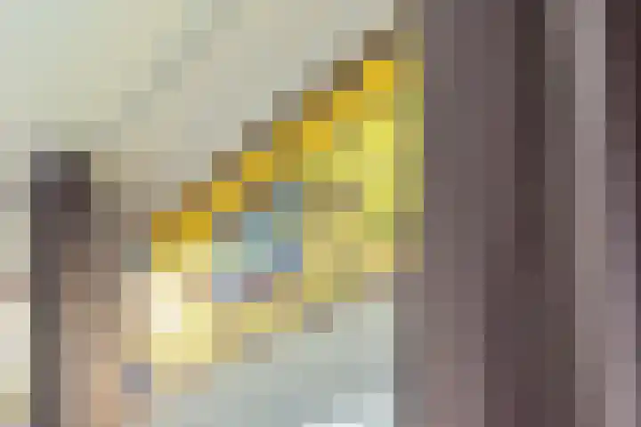 Klaverweide 8 Ulft thumbnail 14