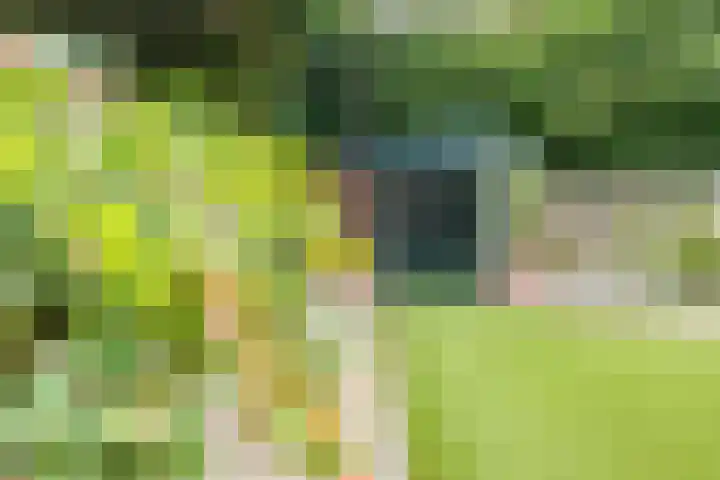 Klaverweide 8 Ulft thumbnail 38
