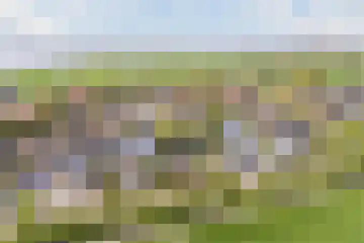 Kleasterwei 15 in Goingarijp