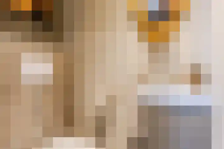 Kleasterwei 15 Goingarijp thumbnail 10