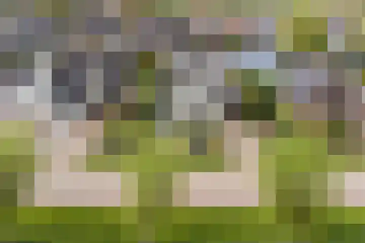 Kleasterwei 15 Goingarijp foto 2