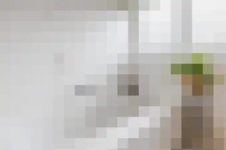 Kleasterwei 15 Goingarijp thumbnail 38