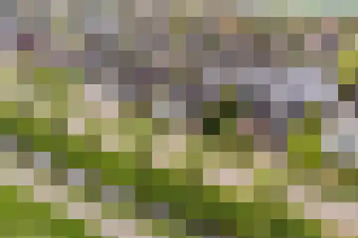 Kleasterwei 15 Goingarijp thumbnail 4