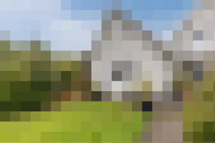 Kleasterwei 15 Goingarijp thumbnail 42