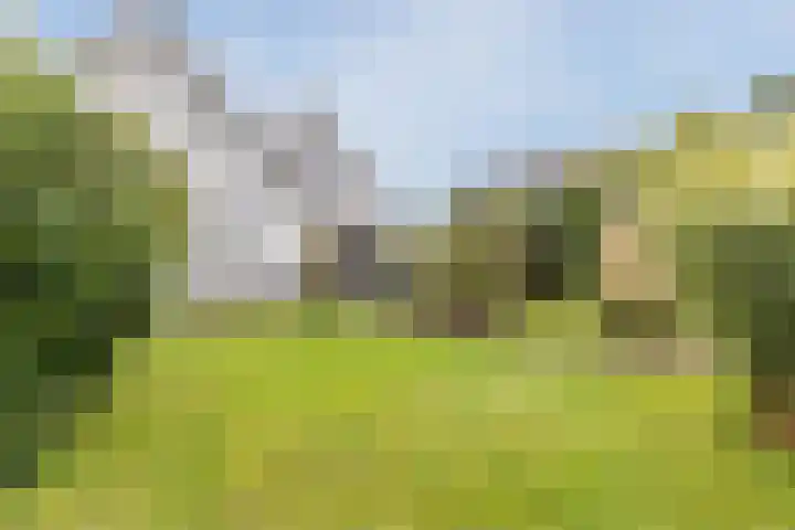 Kleasterwei 15 Goingarijp thumbnail 43