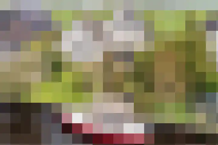 Kleasterwei 15 Goingarijp thumbnail 45
