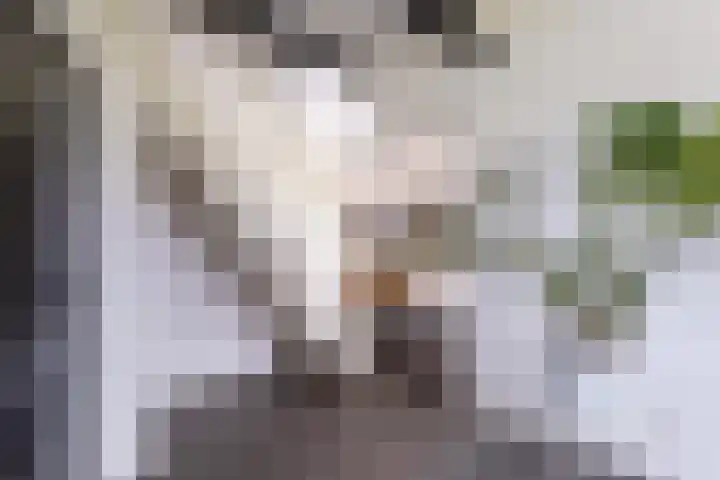 Kleasterwei 16 Tzummarum thumbnail 19