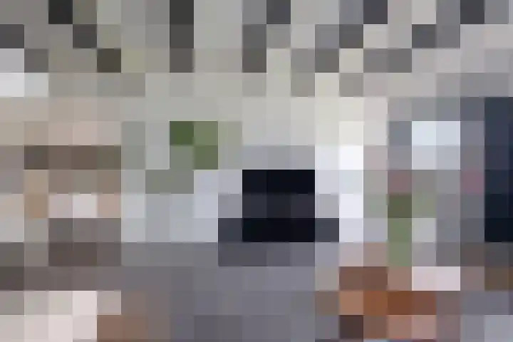Kleasterwei 16 Tzummarum thumbnail 20