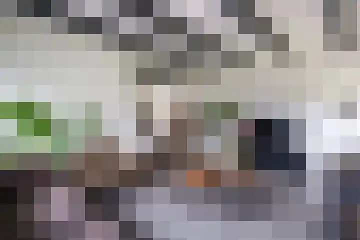 Kleasterwei 16 Tzummarum thumbnail 21