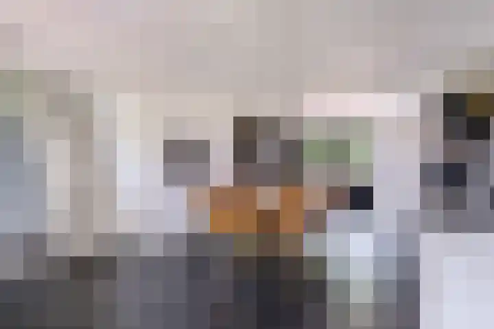 Kleasterwei 16 Tzummarum thumbnail 29