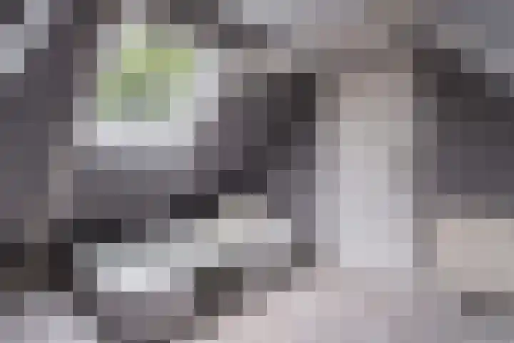 Kleasterwei 16 Tzummarum thumbnail 37