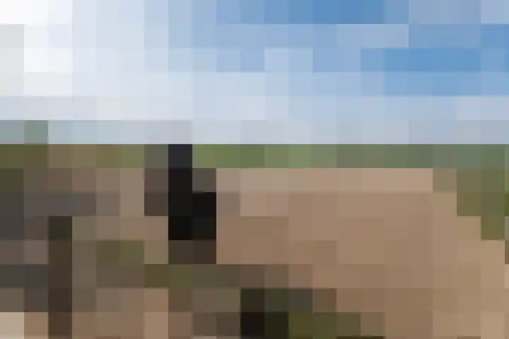 Kleasterwei 16 Tzummarum thumbnail 55