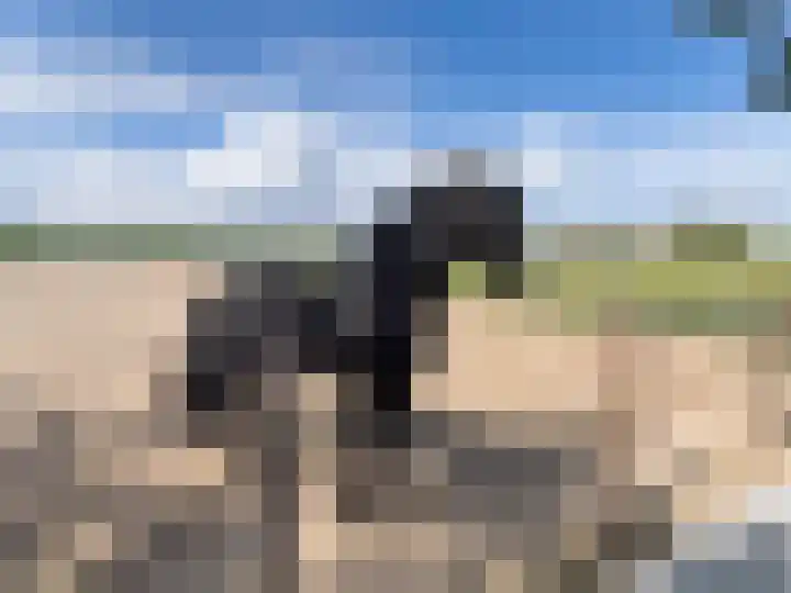 Kleasterwei 16 Tzummarum thumbnail 58