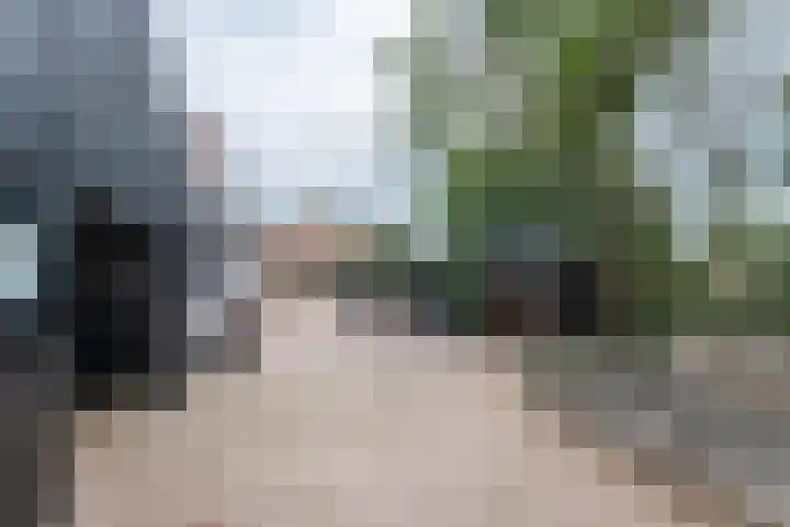 Kleasterwei 16 Tzummarum thumbnail 61