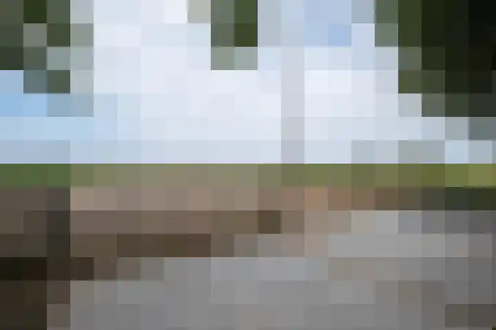 Kleasterwei 16 Tzummarum thumbnail 62